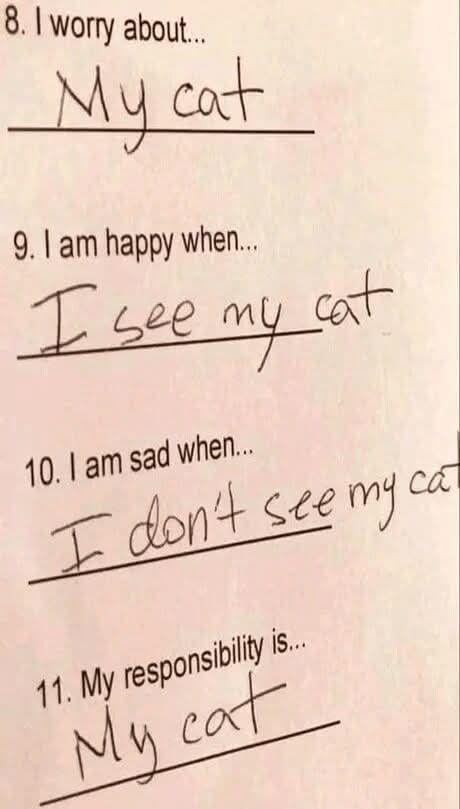8. I worry about... My cat 9. I am happy when... I see my cat 10. I am sad when... I don't see my cat 11. My responsibility is... My cat