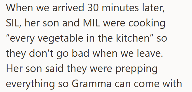 When we arrived 30 minutes later, SIL, her son and MIL were cooking "every vegetable in the kitchen" so they don't go bad when we leave. Her son said they were prepping everything so Gramma can come with