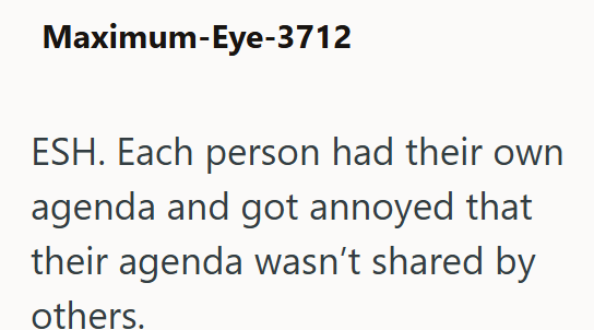 Maximum-Eye-3712 ESH. Each person had their own agenda and got annoyed that their agenda wasn't shared by others.