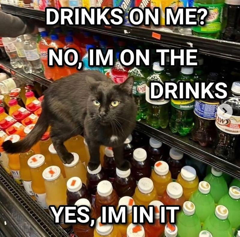 IT DRINKS ON ME? NO, IM ON THE DRINKS Sauber All YES, IM IN IT ROOD-BEER