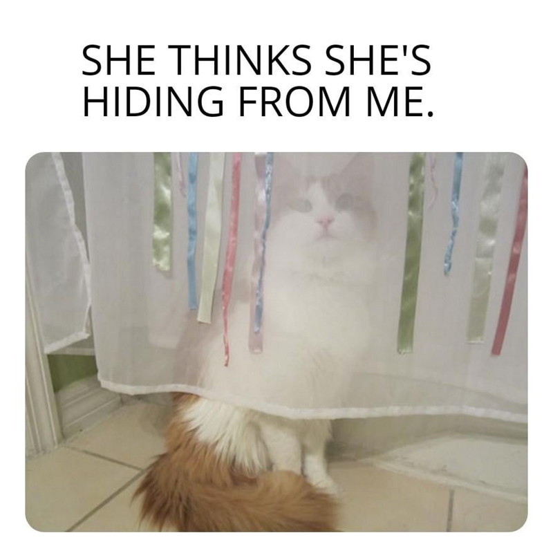 SHE THINKS SHE'S HIDING FROM ME.