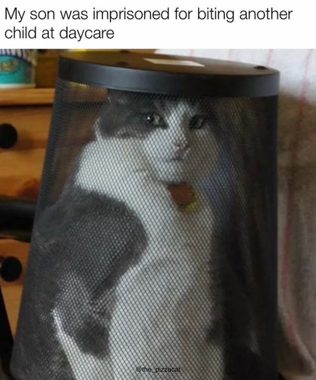 My son was imprisoned for biting another child at daycare @the pizzacat