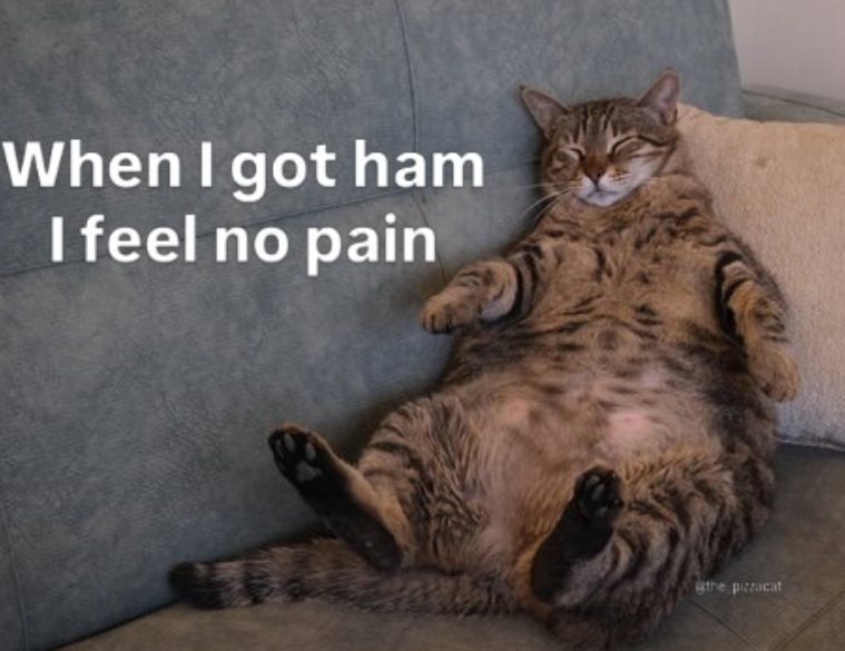 When I got ham I feel no pain the pizzacat
