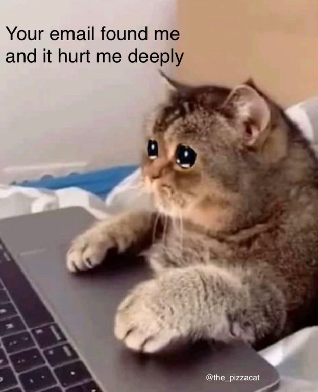 Your email found me and it hurt me deeply @the_pizzacat