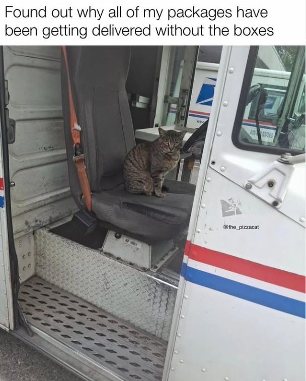 Found out why all of my packages have been getting delivered without the boxes 59 www @the_pizzacat