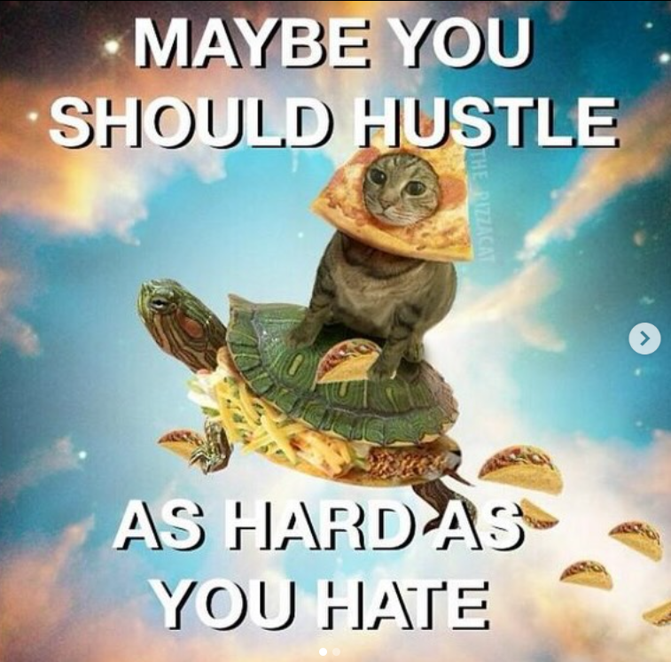 -MAYBE YOU SHOULD HUSTLE THE PIZZACAT AS HARD AS YOU HATE >