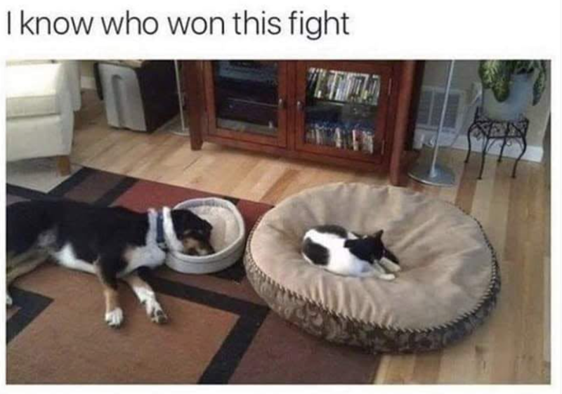 I know who won this fight