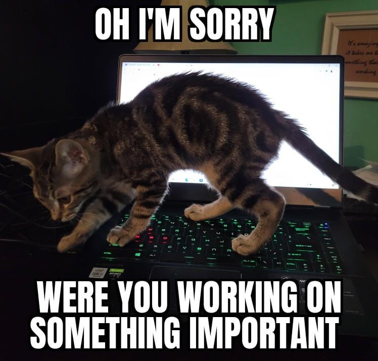 OH I'M SORRY It's amazing it takes me to mething their working CERES WERE YOU WORKING ON SOMETHING IMPORTANT