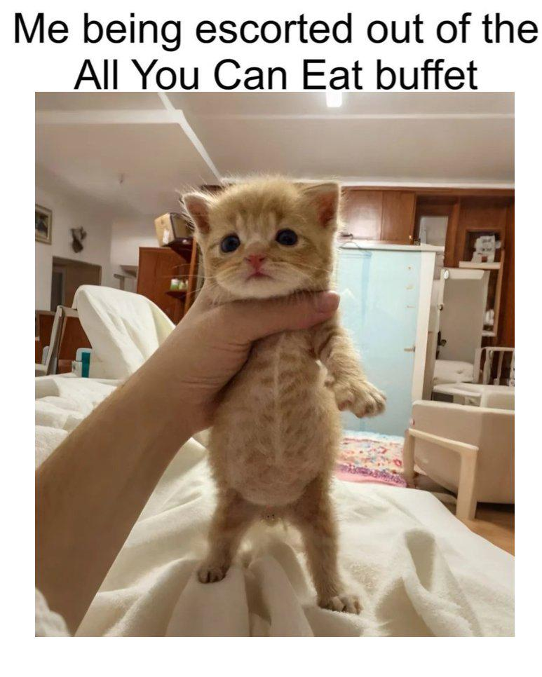 Me being escorted out of the All You Can Eat buffet