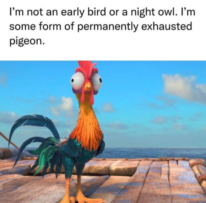 I'm not an early bird or a night owl. I'm some form of permanently exhausted pigeon.
