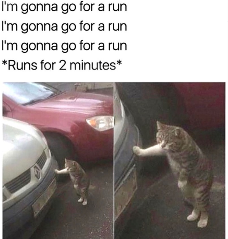 I'm gonna go for a run I'm gonna go for a run I'm gonna go for a run *Runs for 2 minutes*