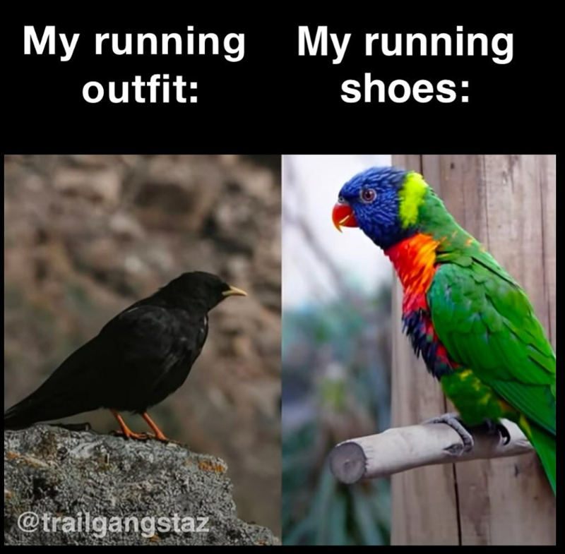 My running My running outfit: @trailgangstaz shoes:
