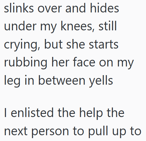 slinks over and hides under my knees, still crying, but she starts rubbing her face on my leg in between yells I enlisted the help the next person to pull up to