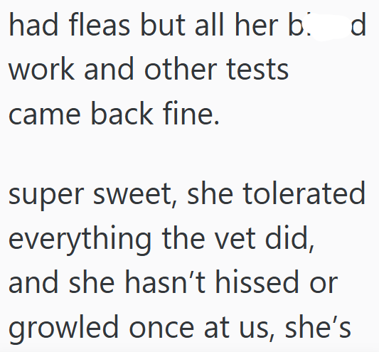 had fleas but all her b. work and other tests came back fine. d super sweet, she tolerated everything the vet did, and she hasn't hissed or growled once at us, she's