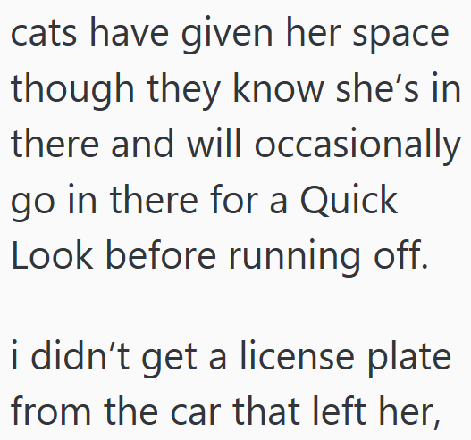 cats have given her space though they know she's in there and will occasionally go in there for a Quick Look before running off. i didn't get a license plate from the car that left her,