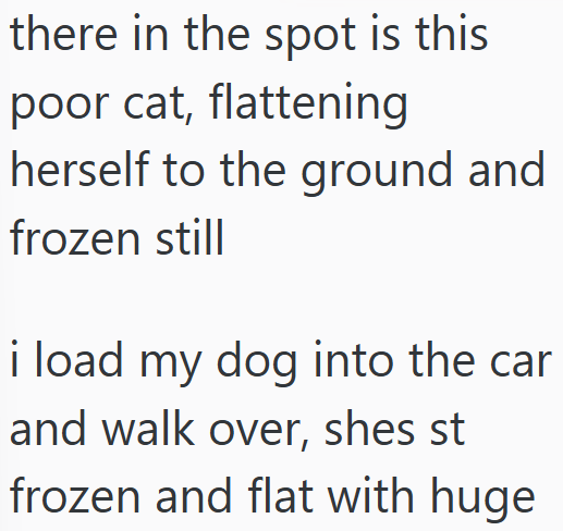there in the spot is this poor cat, flattening herself to the ground and frozen still i load my dog into the car and walk over, shes st frozen and flat with huge