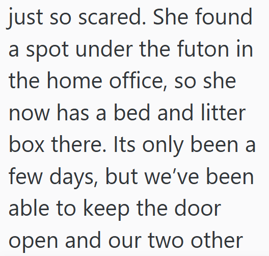 just so scared. She found a spot under the futon in the home office, so she now has a bed and litter box there. Its only been a few days, but we've been able to keep the door open and our two other