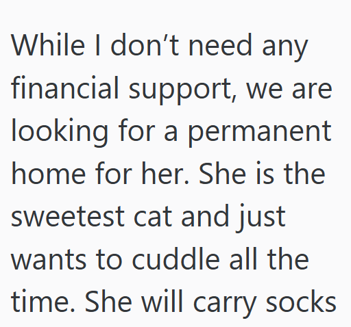 While I don't need any financial support, we are looking for a permanent home for her. She is the sweetest cat and just wants to cuddle all the time. She will carry socks