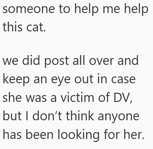 someone to help me help this cat. we did post all over and keep an eye out in case she was a victim of DV, but I don't think anyone has been looking for her.