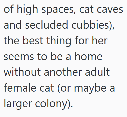 of high spaces, cat caves and secluded cubbies), the best thing for her seems to be a home without another adult female cat (or maybe a larger colony).