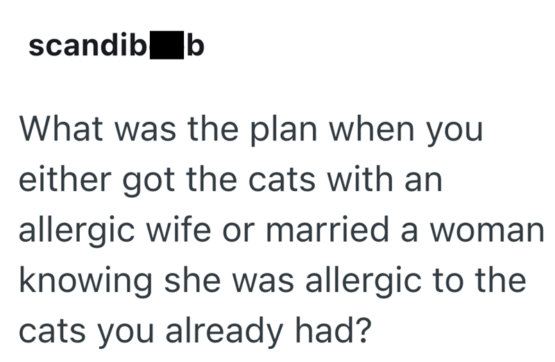 scandib b What was the plan when you either got the cats with an allergic wife or married a woman knowing she was allergic to the cats you already had?