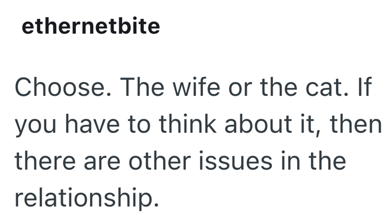 ethernetbite Choose. The wife or the cat. If you have to think about it, then there are other issues in the relationship.