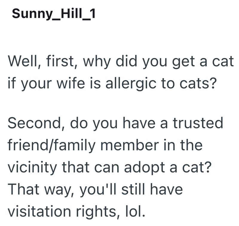 Sunny_Hill_1 Well, first, why did you get a cat if your wife is allergic to cats? Second, do you have a trusted friend/family member in the vicinity that can adopt a cat? That way, you'll still have visitation rights, lol.