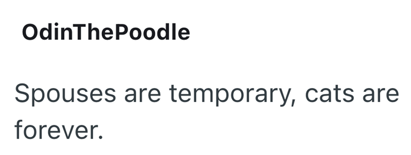 OdinThePoodle Spouses are temporary, cats are forever.
