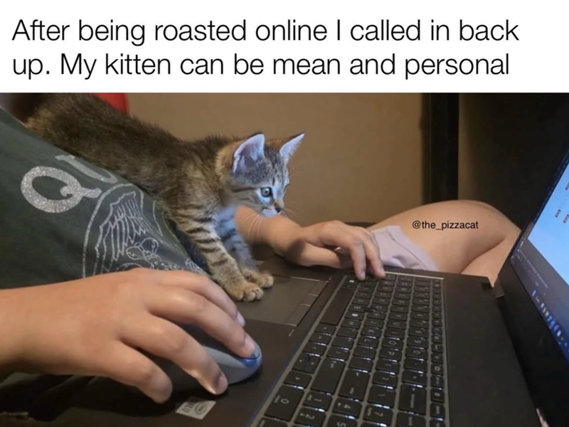 After being roasted online I called in back up. My kitten can be mean and personal @the_pizzacat B