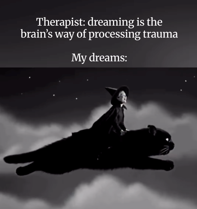 Therapist: dreaming is the brain's way of processing trauma My dreams: