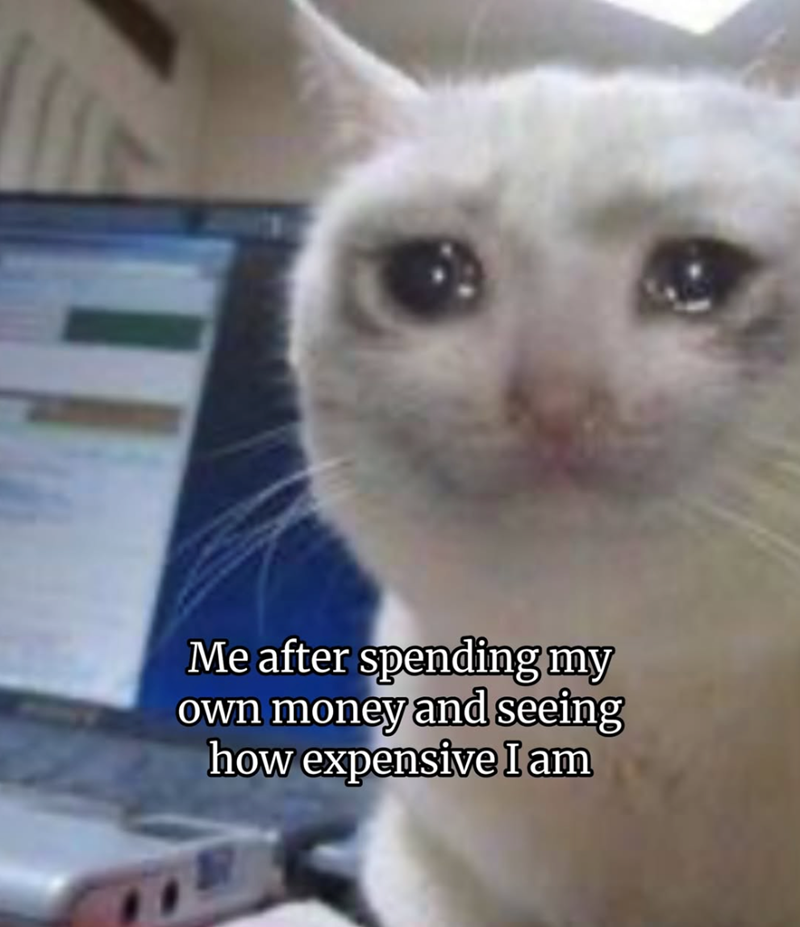 Me after spending my own money and seeing how expensive I am
