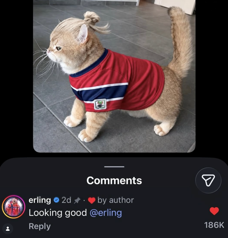 erling 2d Comments by author NEW Looking good @erling ☑ Reply 186K