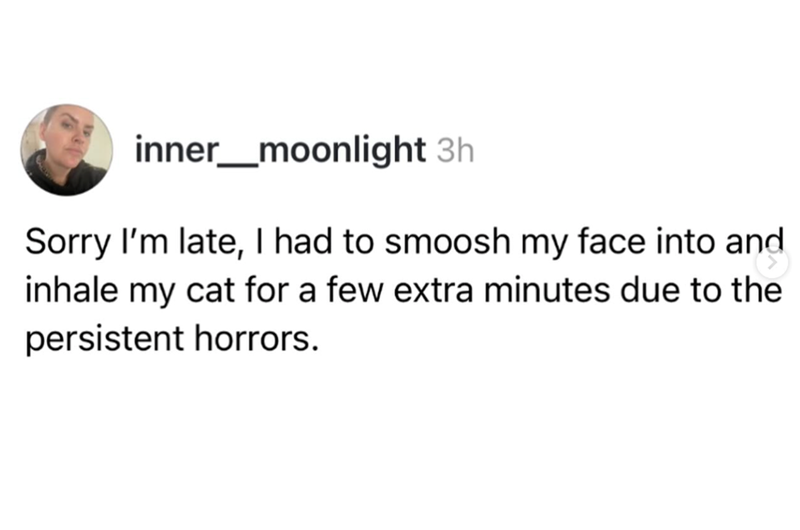 inner_moonlight 3h Sorry I'm late, I had to smoosh my face into and inhale my cat for a few extra minutes due to the persistent horrors.