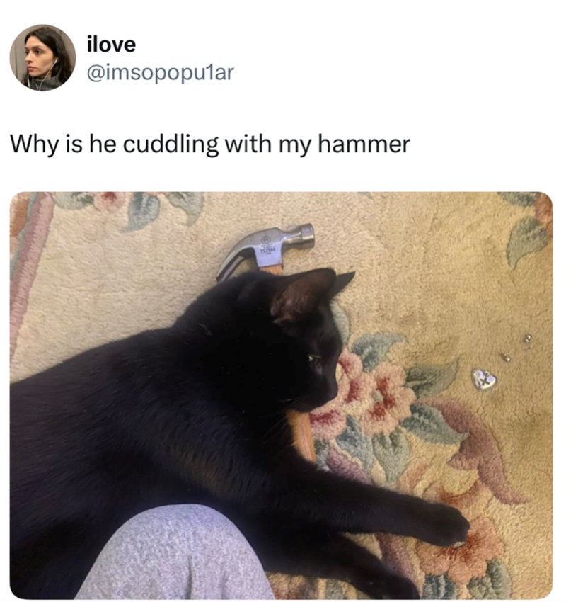 ilove @imsopopular Why is he cuddling with my hammer