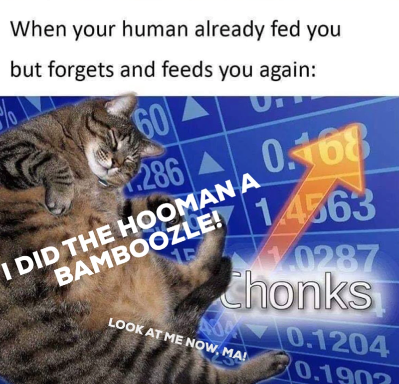 When your human already fed you but forgets and feeds you again: 60 286 BAMS ANA I DID 0.168 14563 0287 Chonks LOOK AT ME NOW, MA! 0.1204 0.190