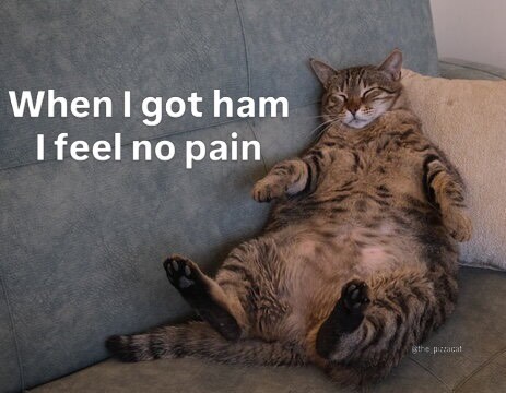 When I got ham I feel no pain the pizzacat