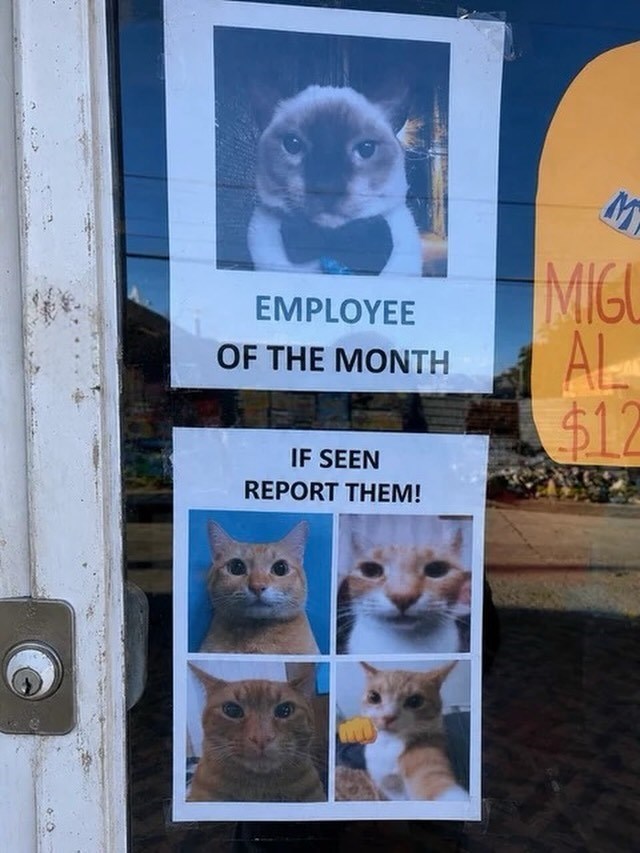 EMPLOYEE OF THE MONTH IF SEEN REPORT THEM! M MIGU AL $12