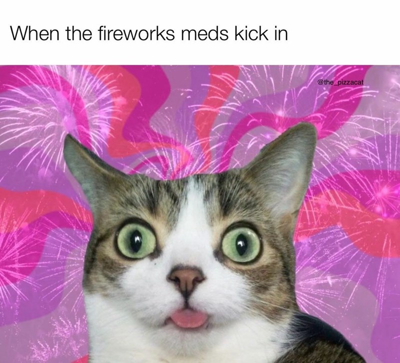 When the fireworks meds kick in @the pizzacat