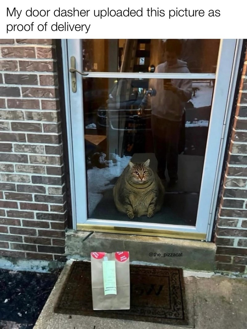 My door dasher uploaded this picture as proof of delivery @the_pizzacat SW