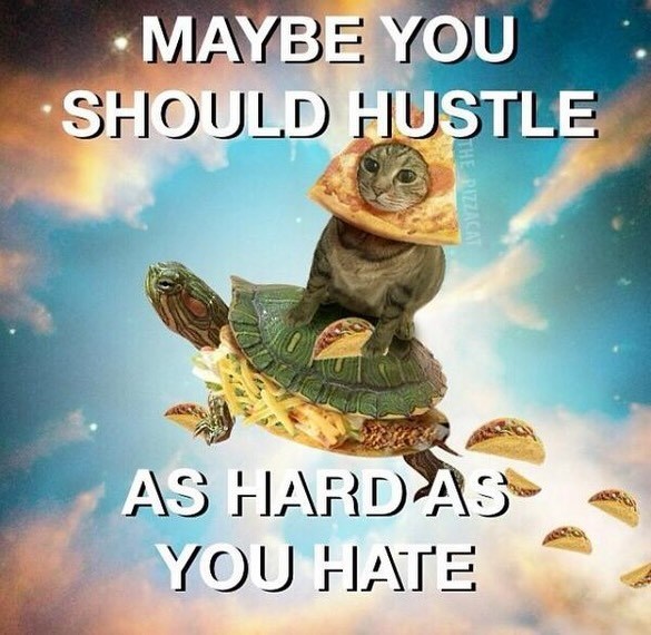 MAYBE YOU SHOULD HUSTLE THE PIZZACAT AS HARD AS YOU HATE