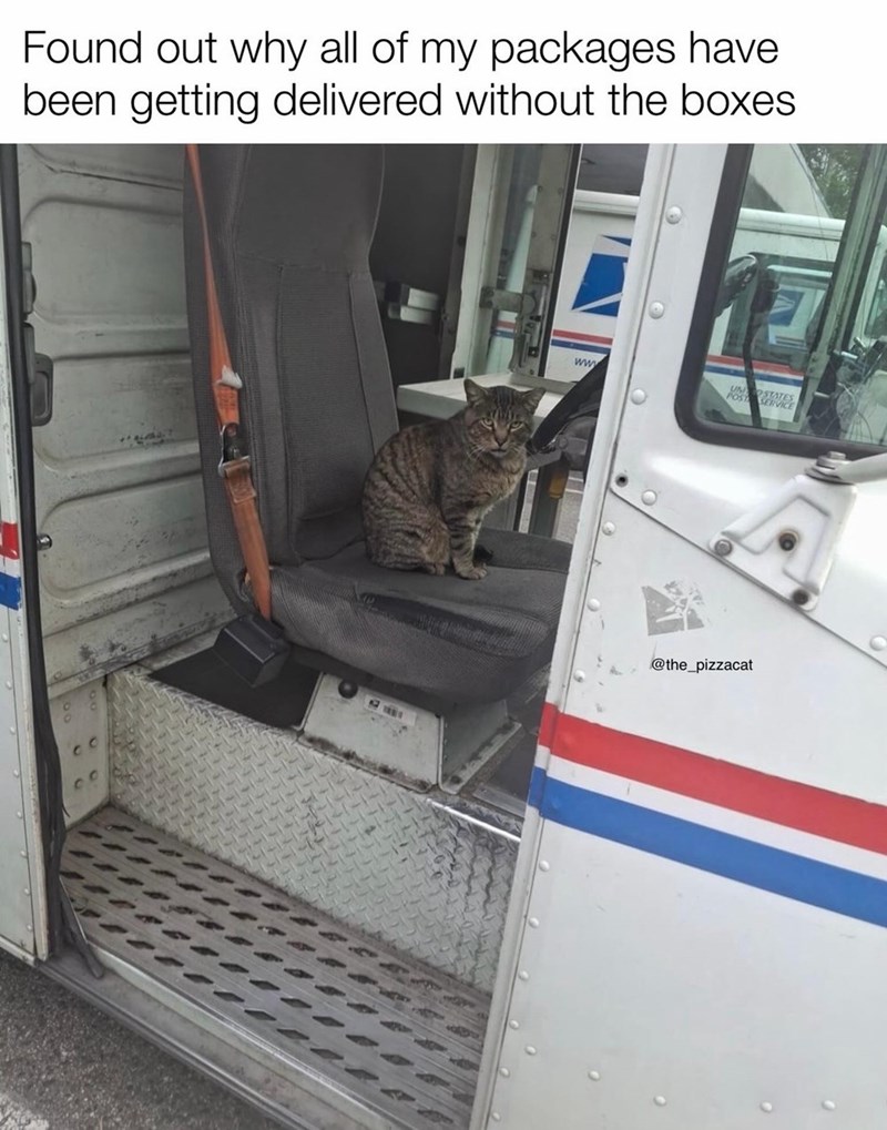 Found out why all of my packages have been getting delivered without the boxes www @the_pizzacat