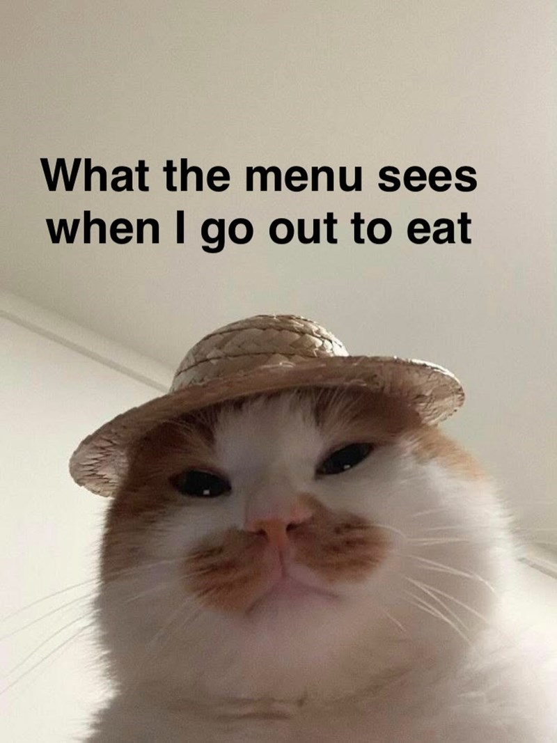 What the menu sees when I go out to eat