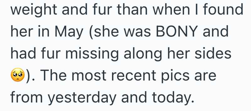 weight and fur than when I found her in May (she was BONY and had fur missing along her sides ). The most recent pics are from yesterday and today.
