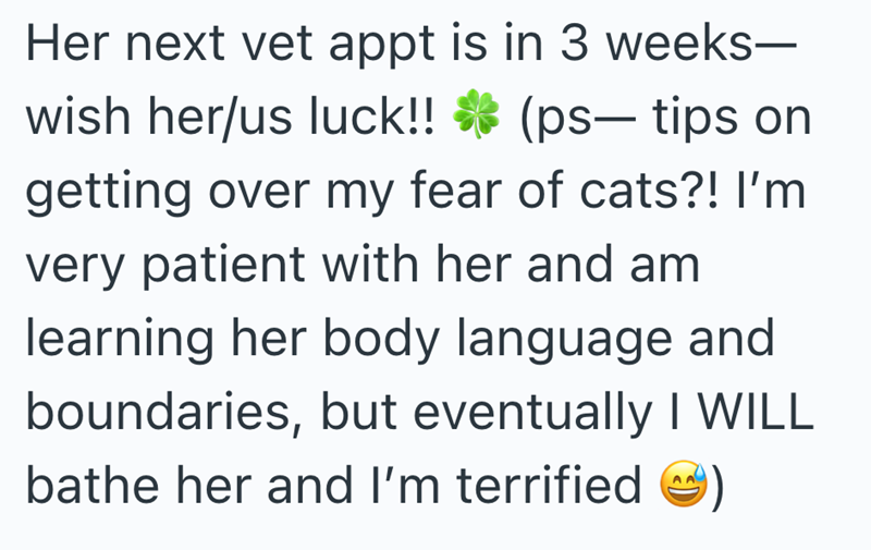 Her next vet appt is in 3 weeks- wish her/us luck!! *(ps- tips on getting over my fear of cats?! I'm very patient with her and am learning her body language and boundaries, but eventually I WILL bathe her and I'm terrified