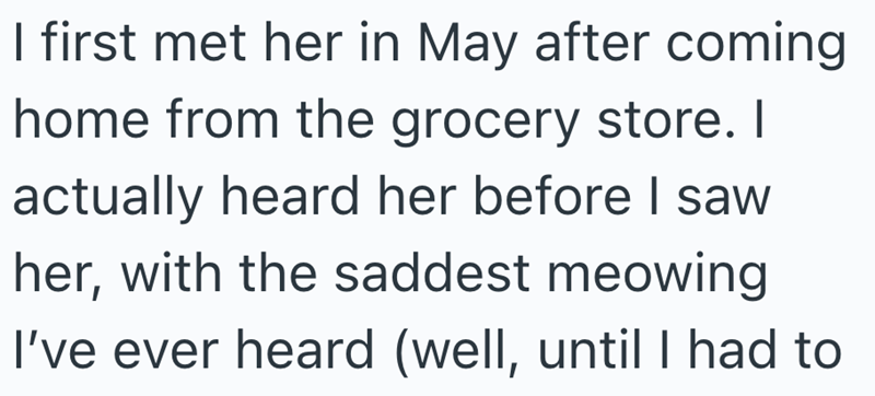 I first met her in May after coming home from the grocery store. I actually heard her before I saw her, with the saddest meowing I've ever heard (well, until I had to