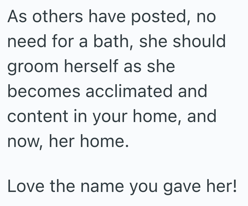 As others have posted, no need for a bath, she should groom herself as she becomes acclimated and content in your home, and now, her home. Love the name you gave her!