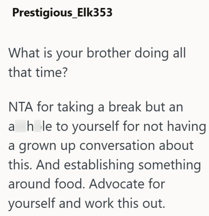 Prestigious_Elk353 What is your brother doing all that time? NTA for taking a break but an a hole to yourself for not having a grown up conversation about this. And establishing something around food. Advocate for yourself and work this out.