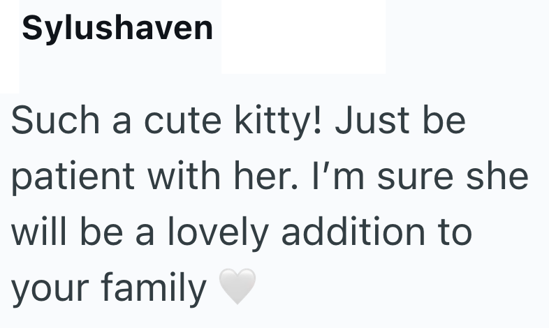 Sylushaven Such a cute kitty! Just be patient with her. I'm sure she will be a lovely addition to your family
