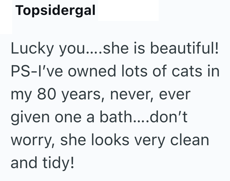 Topsidergal Lucky you....she is beautiful! PS-I've owned lots of cats in my 80 years, never, ever given one a bath....don't worry, she looks very clean and tidy!