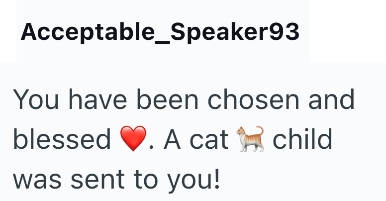 Acceptable_Speaker93 You have been chosen and blessed . A cat A cat was sent to you! child